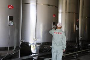 福建杨梅酒工程案例